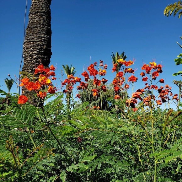 Meet your Posher Linda! - Picture 11 of 16